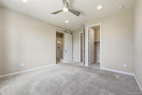 4638 Rapport Drive Castle Rock CO 80104