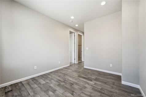 4638 Rapport Drive Castle Rock CO 80104