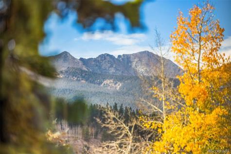 224 S Ridge Street Breckenridge CO 80424