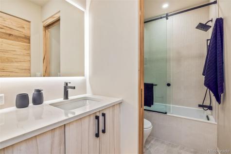 224 S Ridge Street Breckenridge CO 80424