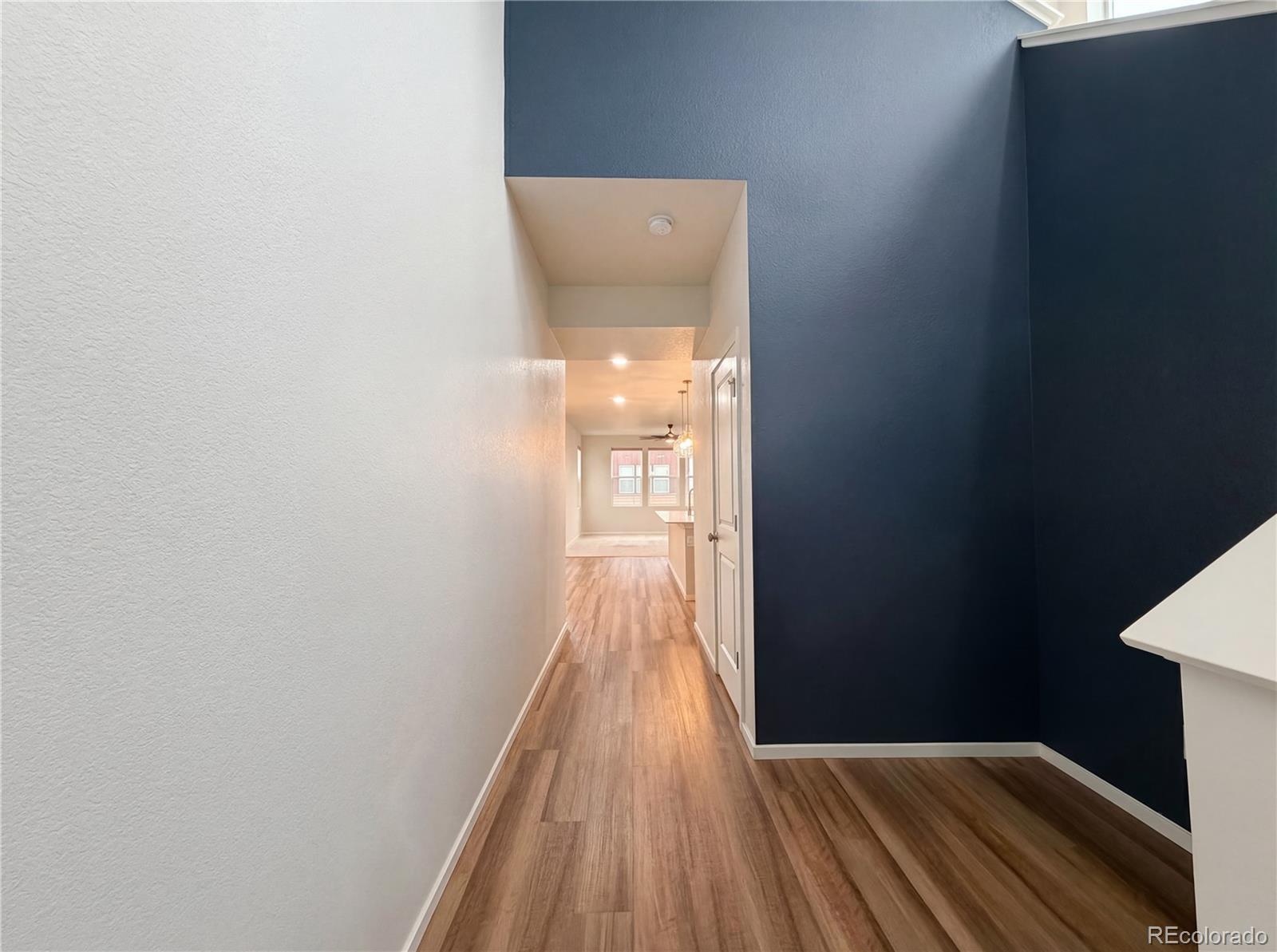 2962 Coleman Street Fort Collins CO 80524