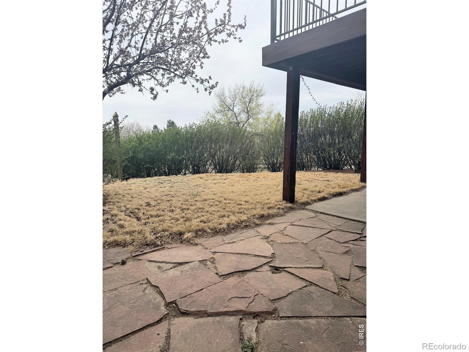 1605 Sunnyside Drive Loveland CO 80538
