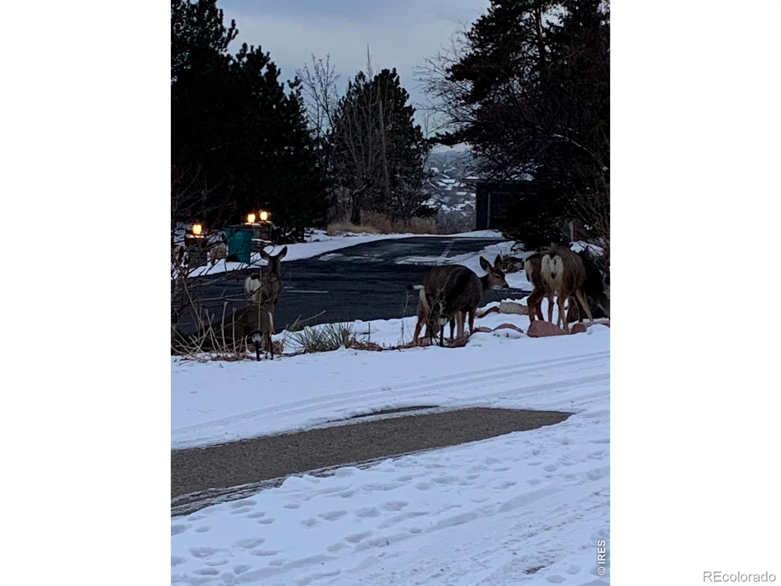 1605 Sunnyside Drive Loveland CO 80538
