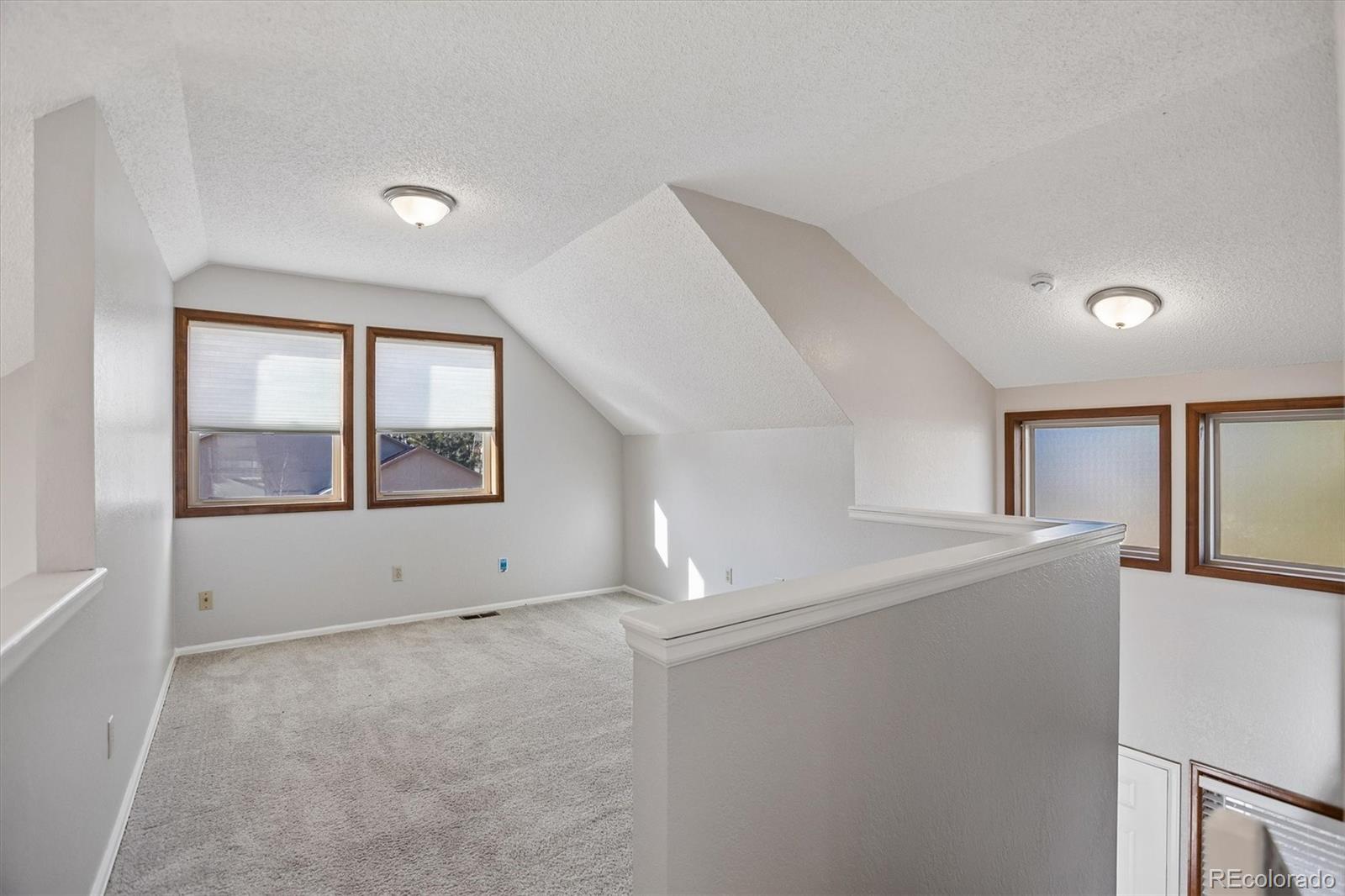 1855 Blackfoot Trail Woodland Park CO 80863