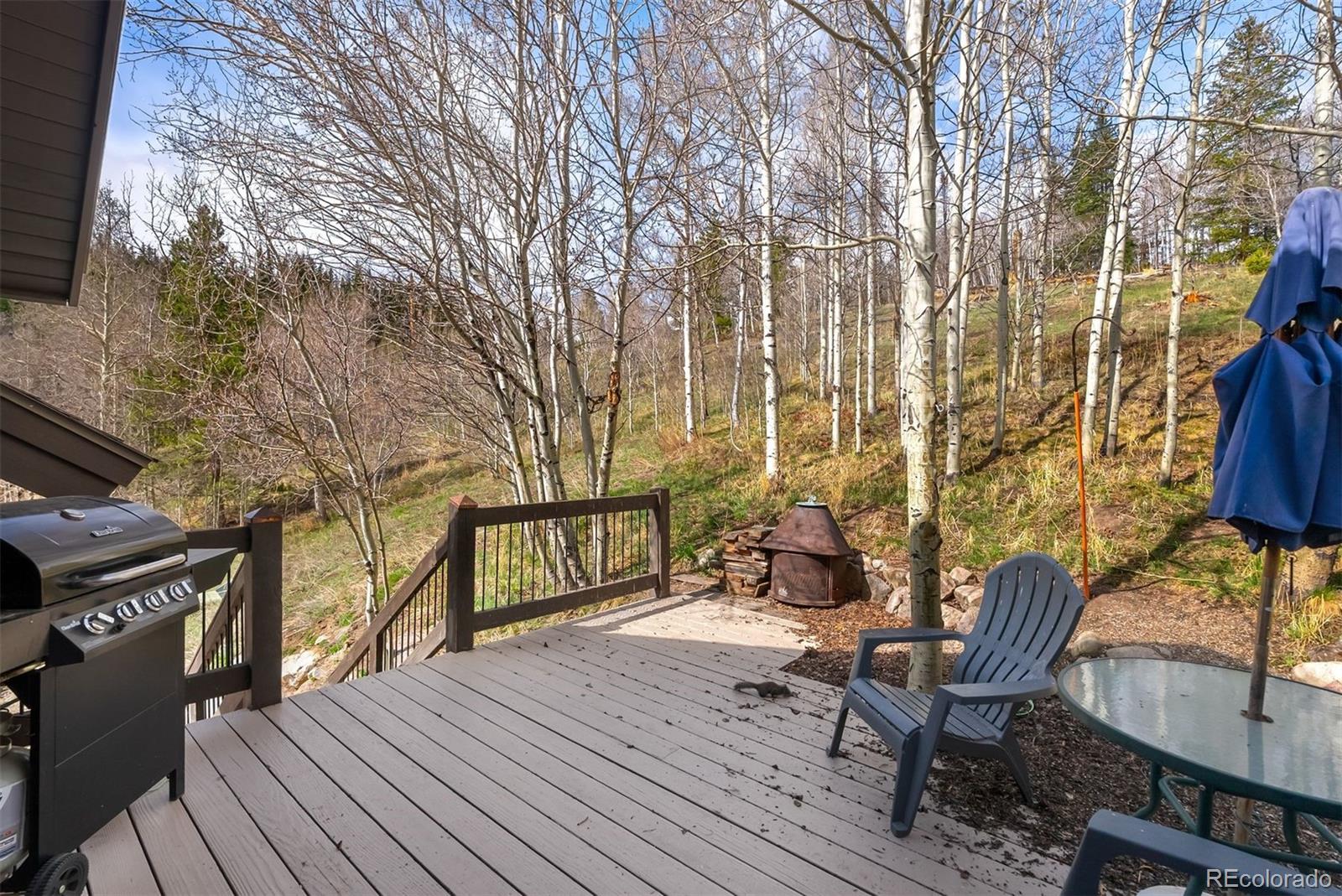 348 Jade Road Silverthorne CO 80498