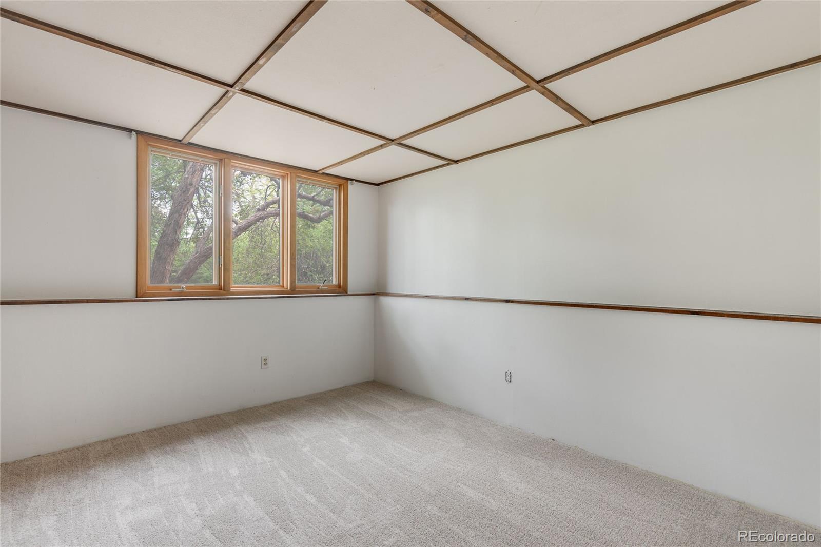 5520 Colt Drive Longmont CO 80503