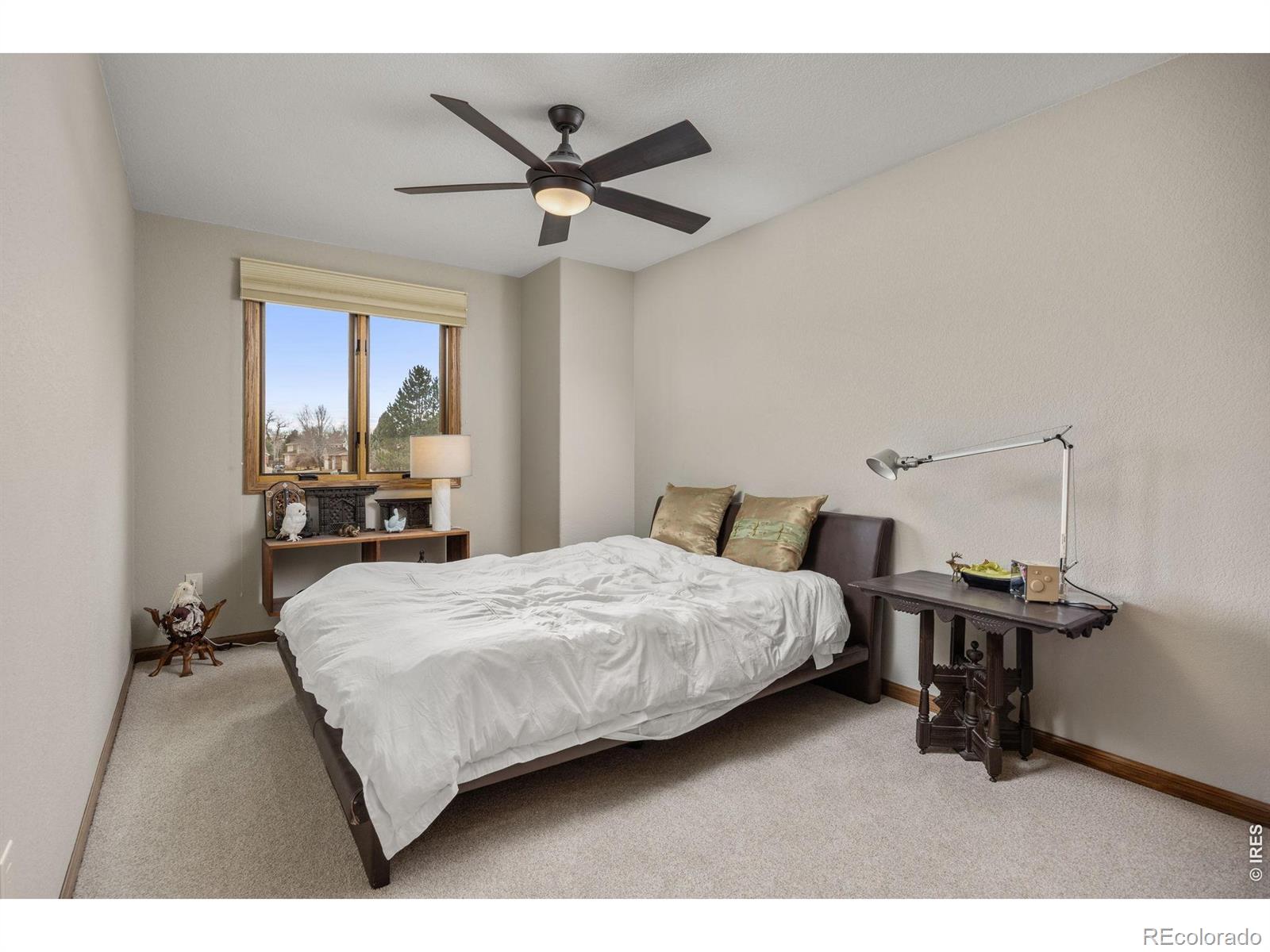 2608 Pheasant Drive Longmont CO 80503