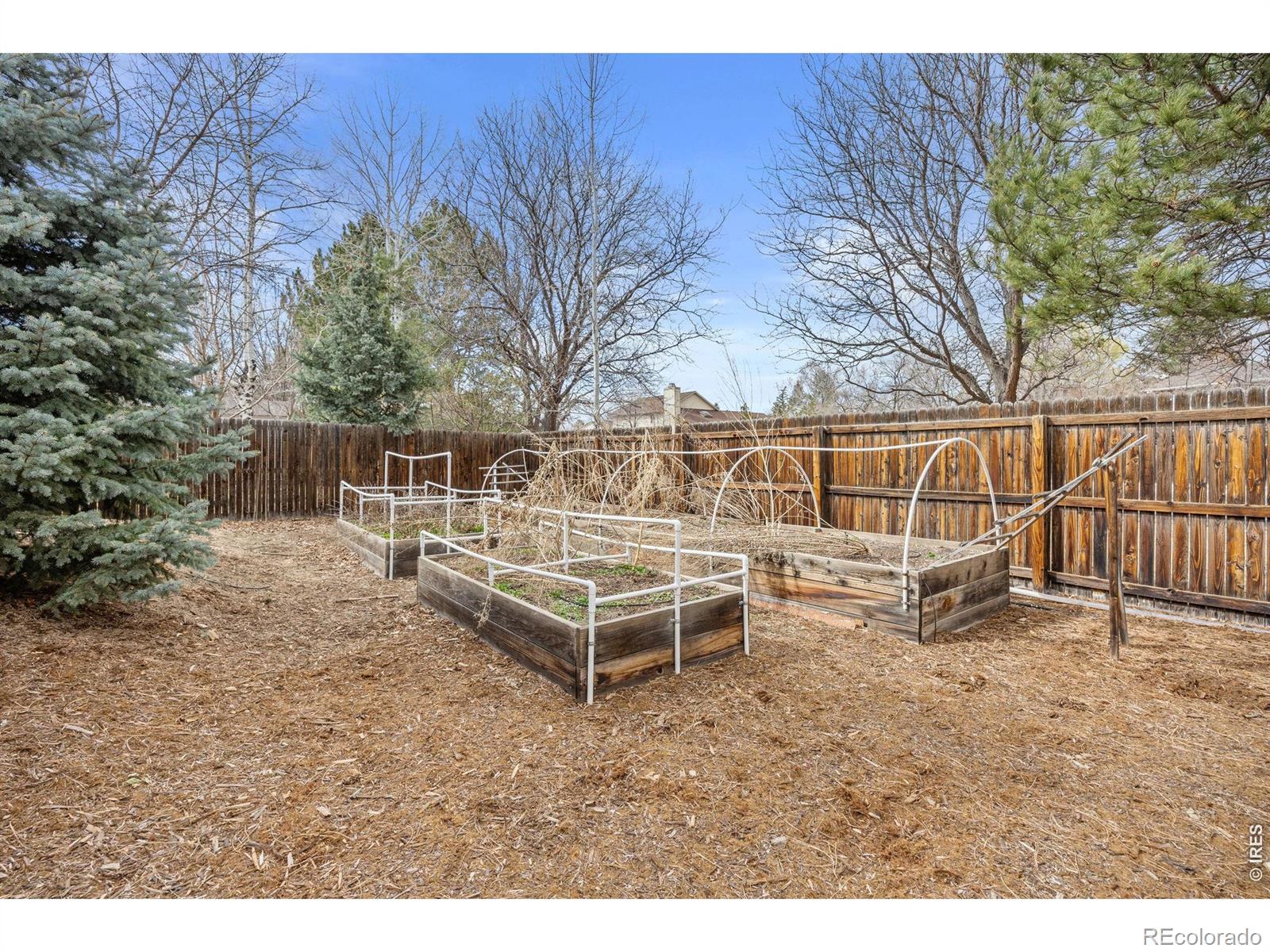 2608 Pheasant Drive Longmont CO 80503