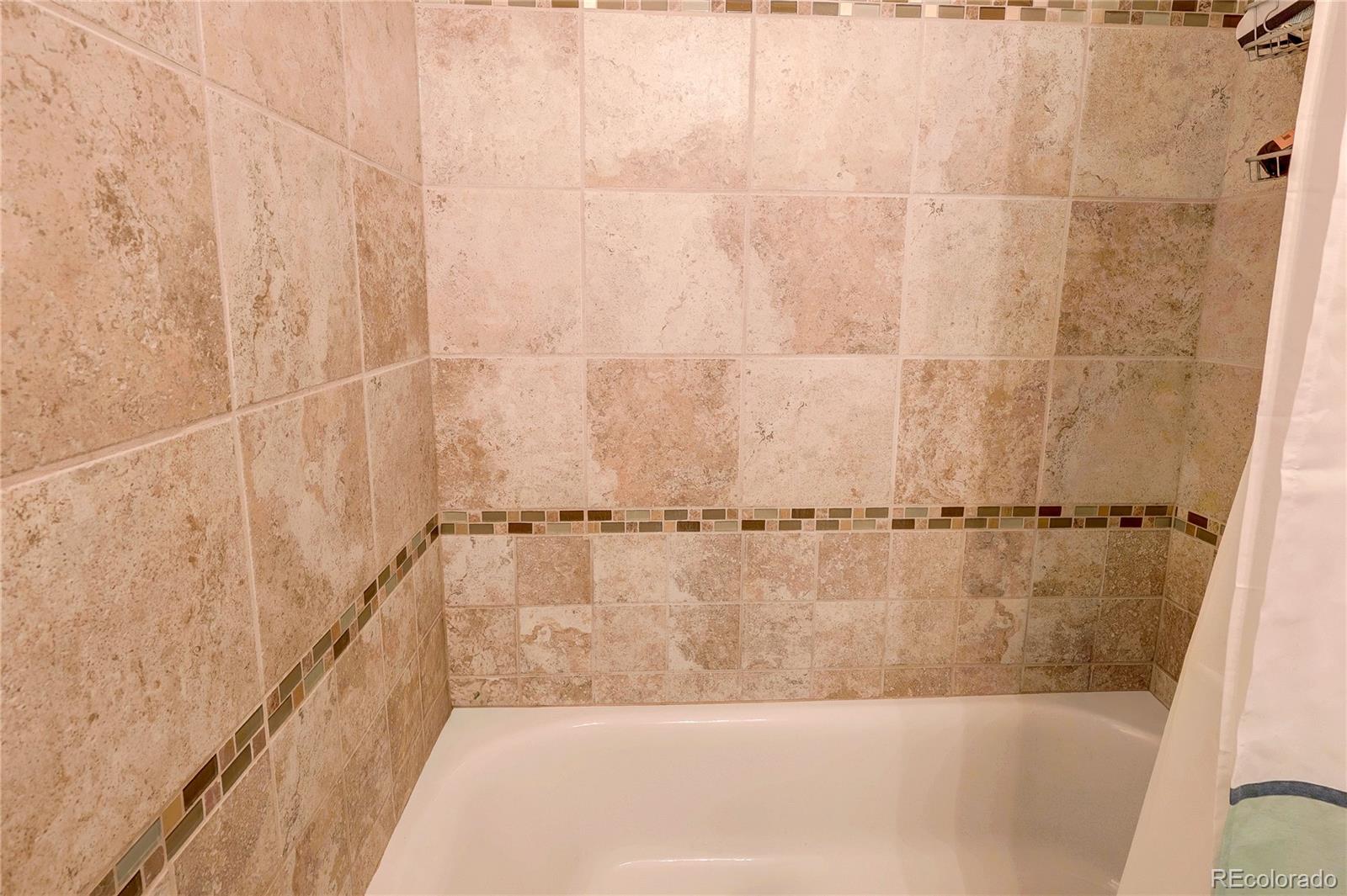 480 E Briarwood Drive Centennial CO 80122