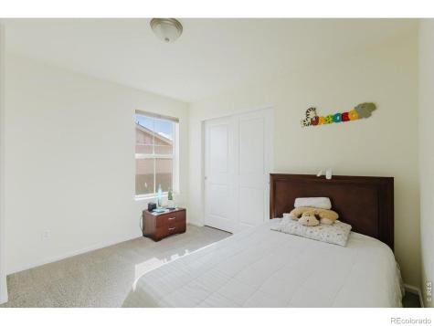 1920 Los Cabos Drive Windsor CO 80550