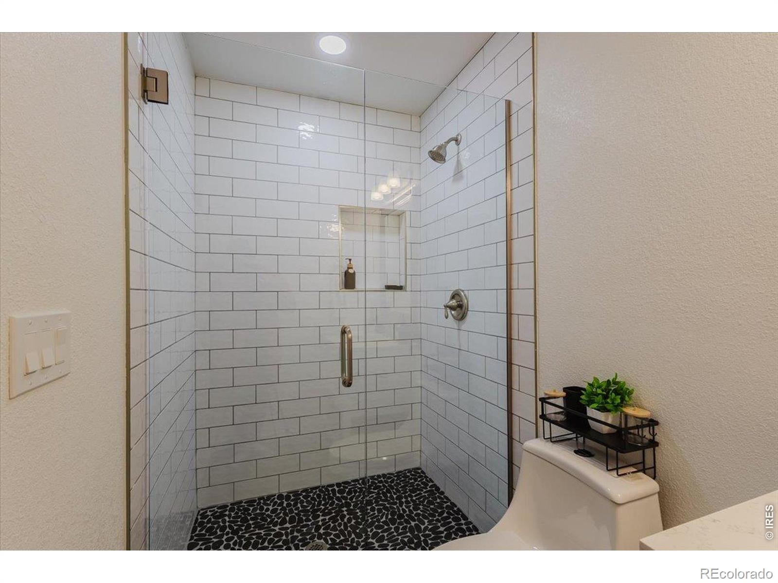1920 Los Cabos Drive Windsor CO 80550