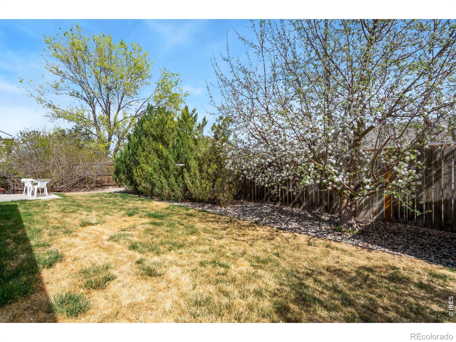 8418 Sonata Lane Wellington CO 80549
