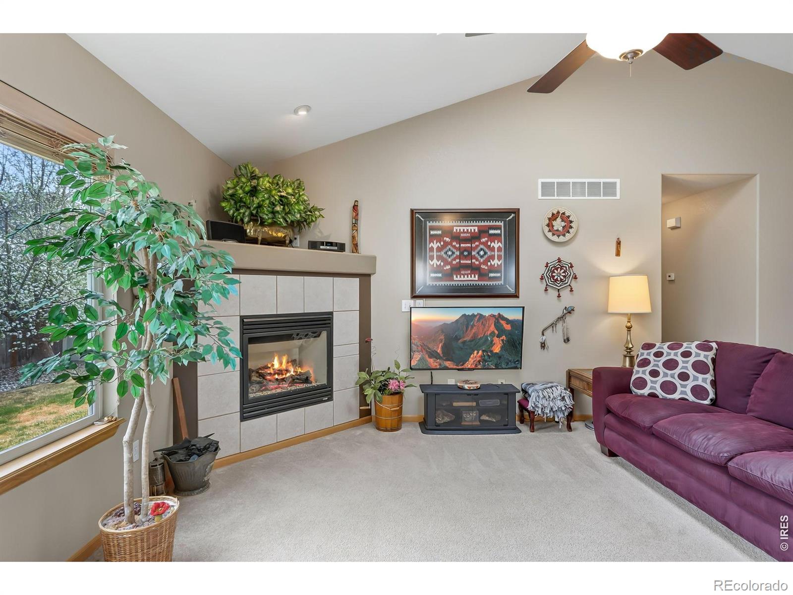 8418 Sonata Lane Wellington CO 80549