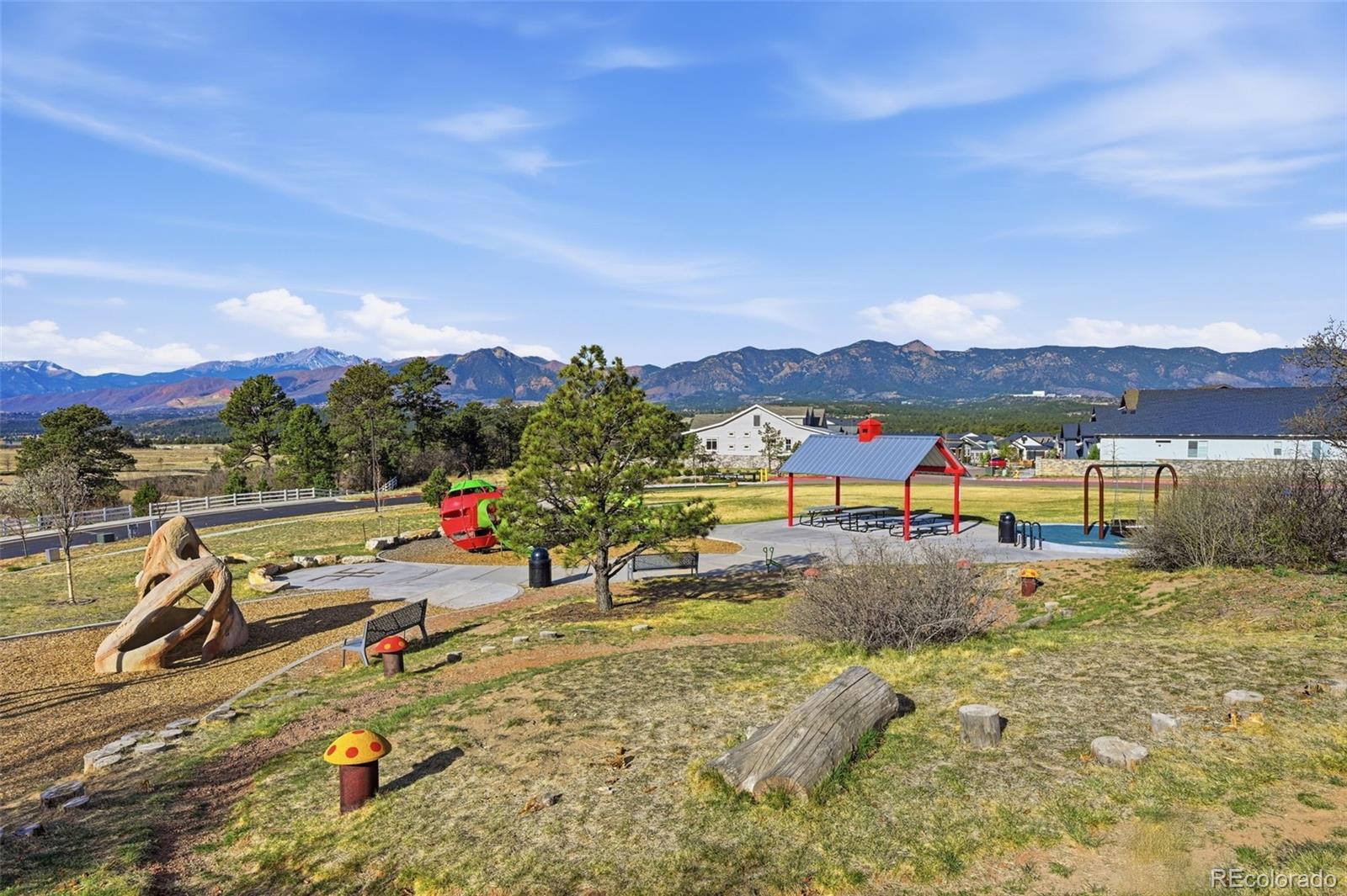 11915 Alydar Loop Colorado Springs CO 80921