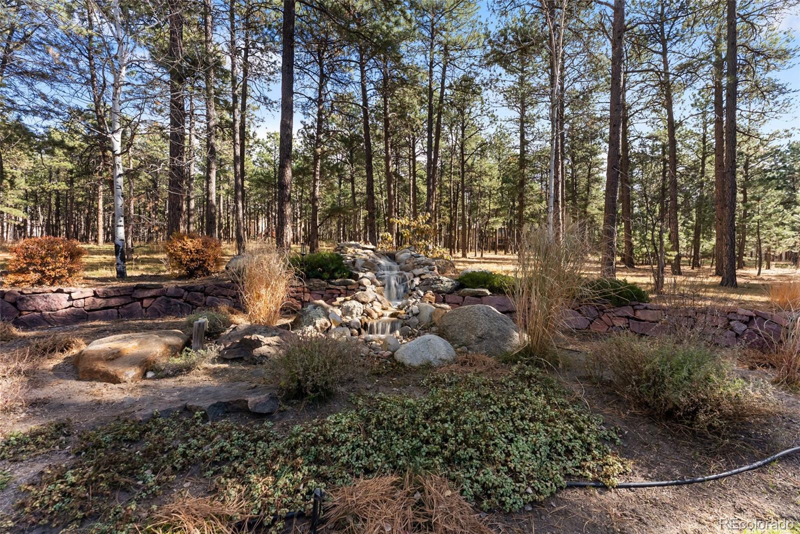 18825 Pagentry Place Monument CO 80132