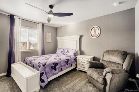 4775 Waltham Drive Windsor CO 80550