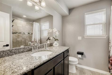 4775 Waltham Drive Windsor CO 80550