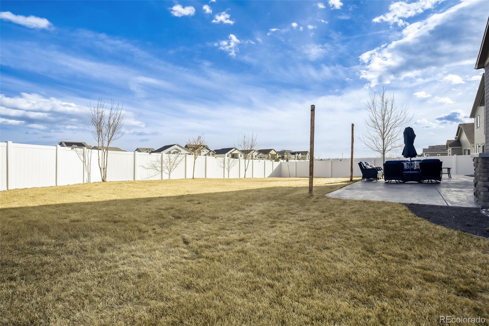 4775 Waltham Drive Windsor CO 80550