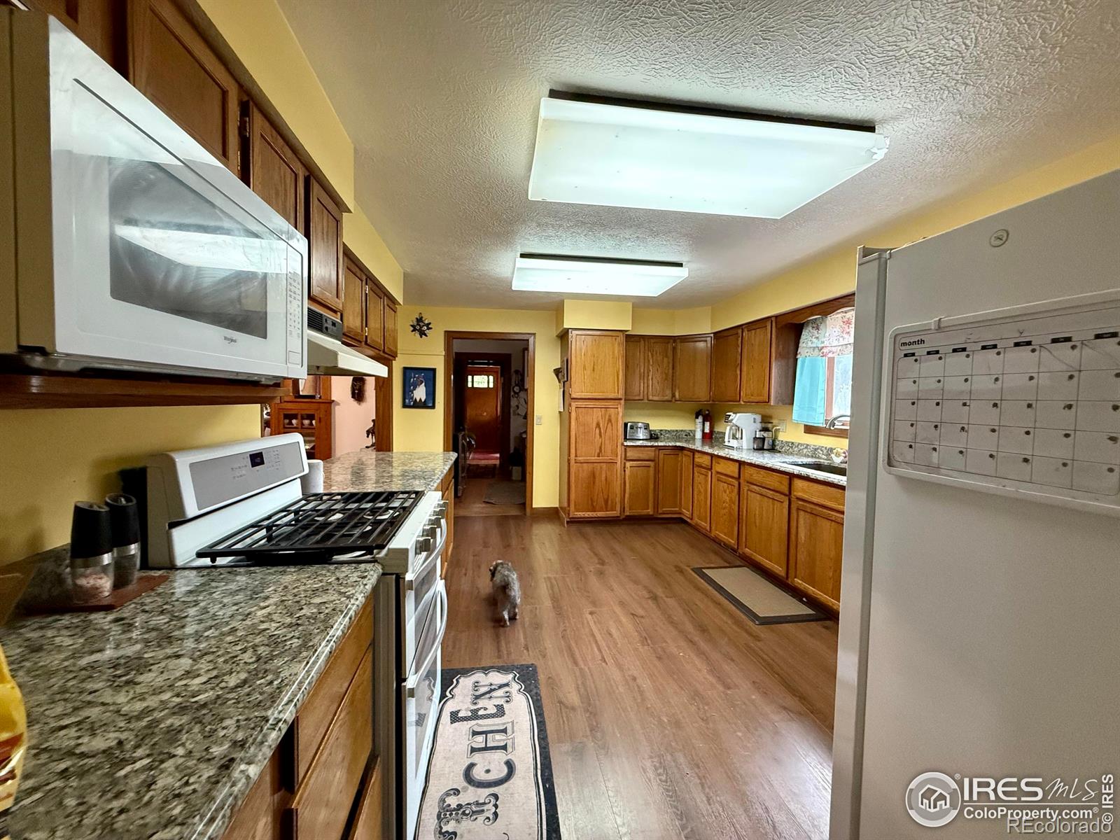 406 S Morlan Avenue Holyoke CO 80734