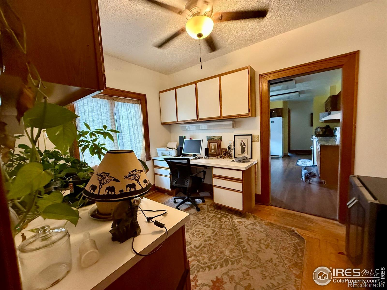 406 S Morlan Avenue Holyoke CO 80734