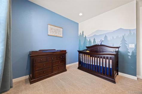 398 Midden Place Castle Rock CO 80104
