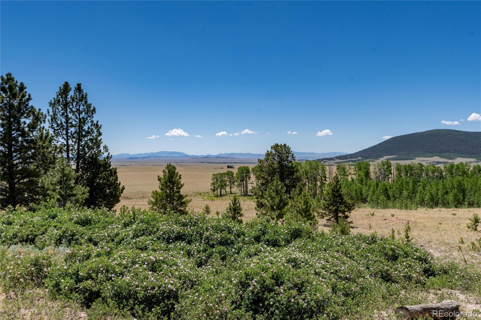 1301 Sheep Ridge Road Fairplay CO 80440