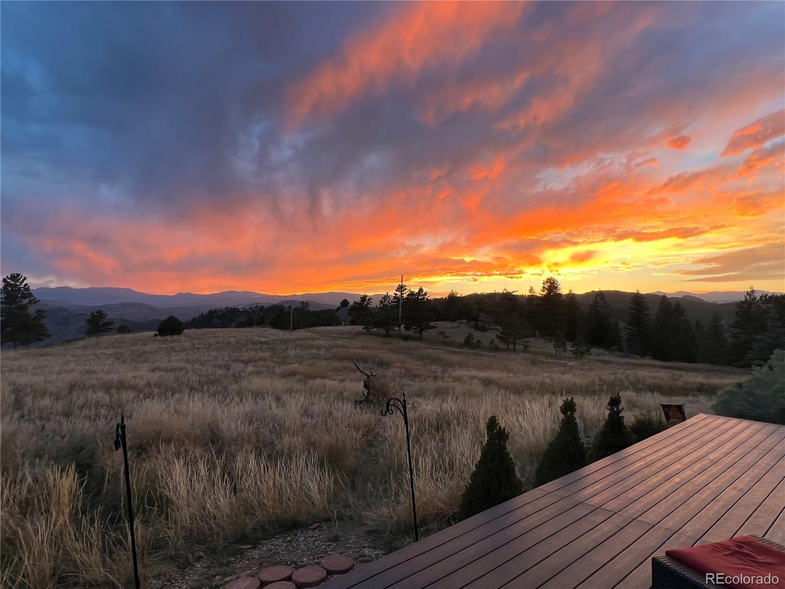 54 Guardian Peak Drive Livermore CO 80536