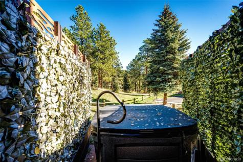 29862 Troutdale Park Place Evergreen CO 80439