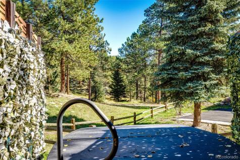 29862 Troutdale Park Place Evergreen CO 80439