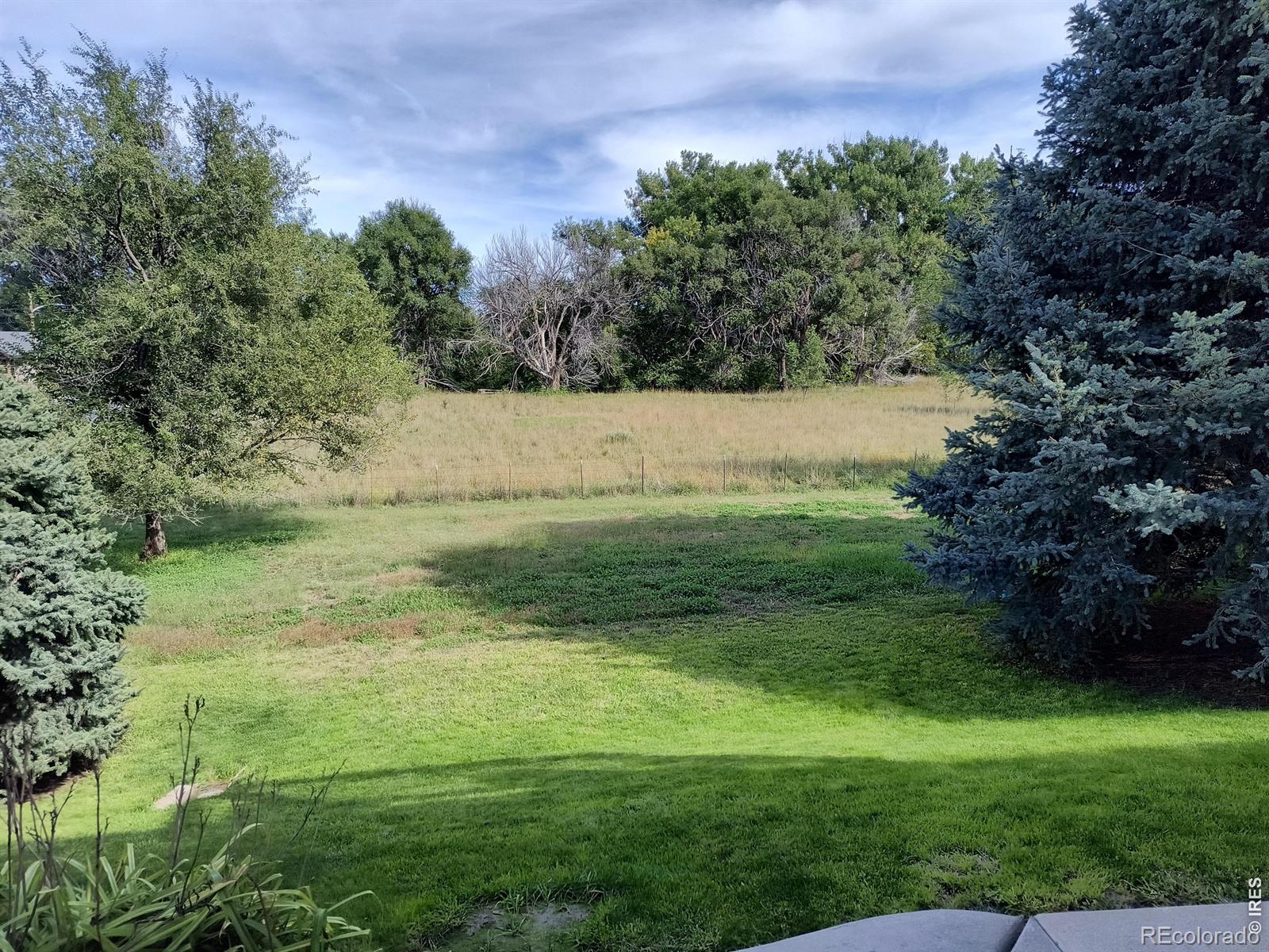 1230 Lincoln Street Wray CO 80758