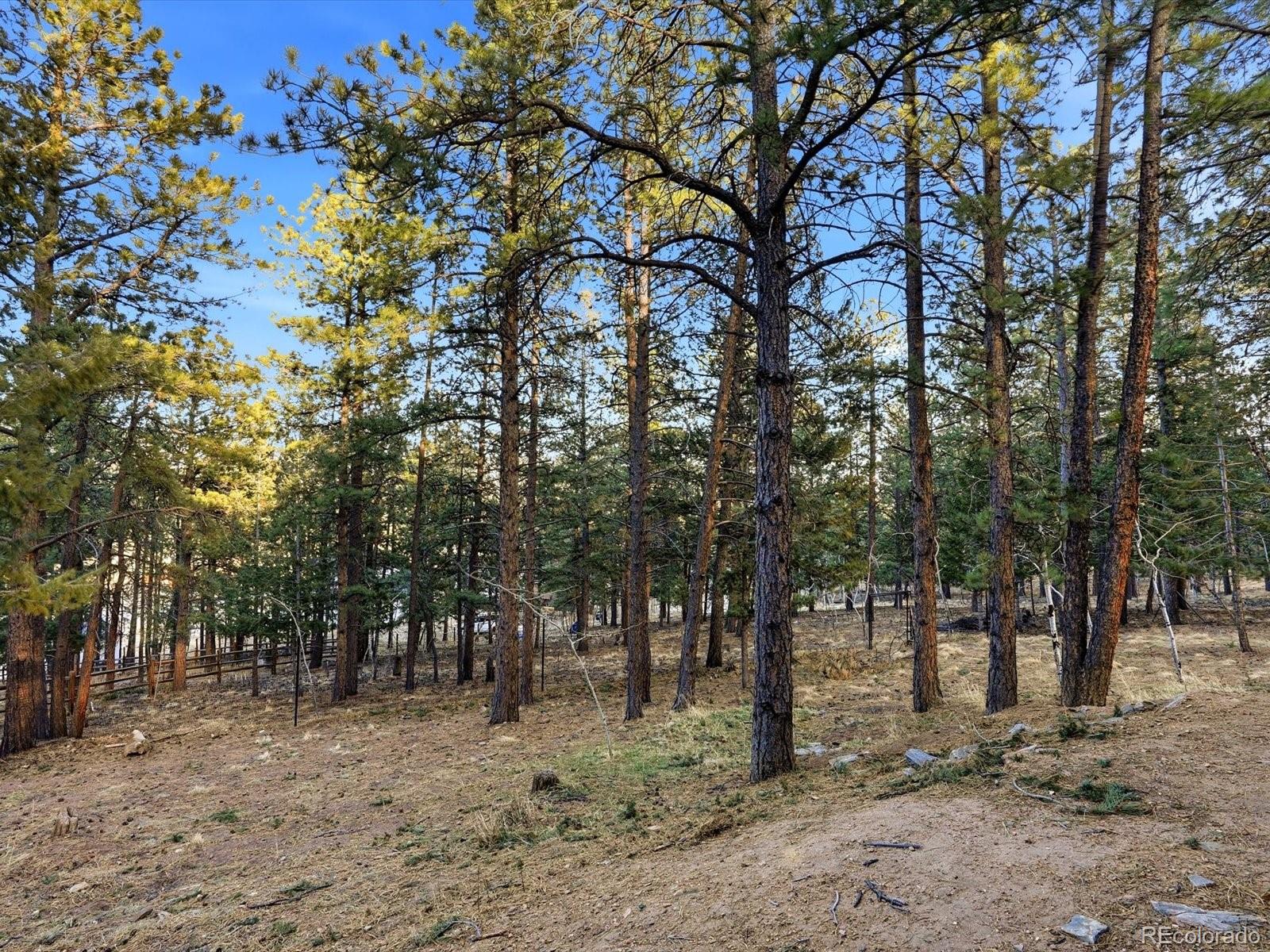 201 Moss Rock Road Bailey CO 80421