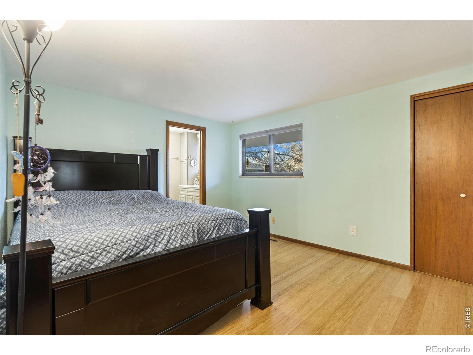 706 Filbert Drive Loveland CO 80538