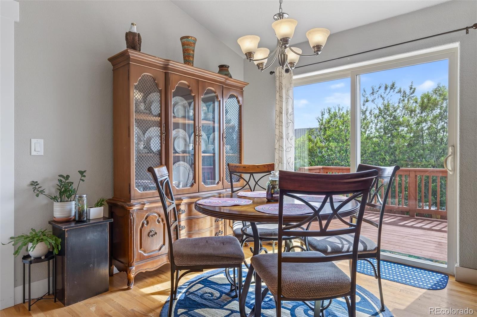 884 Cliffrose Way Severance CO 80550