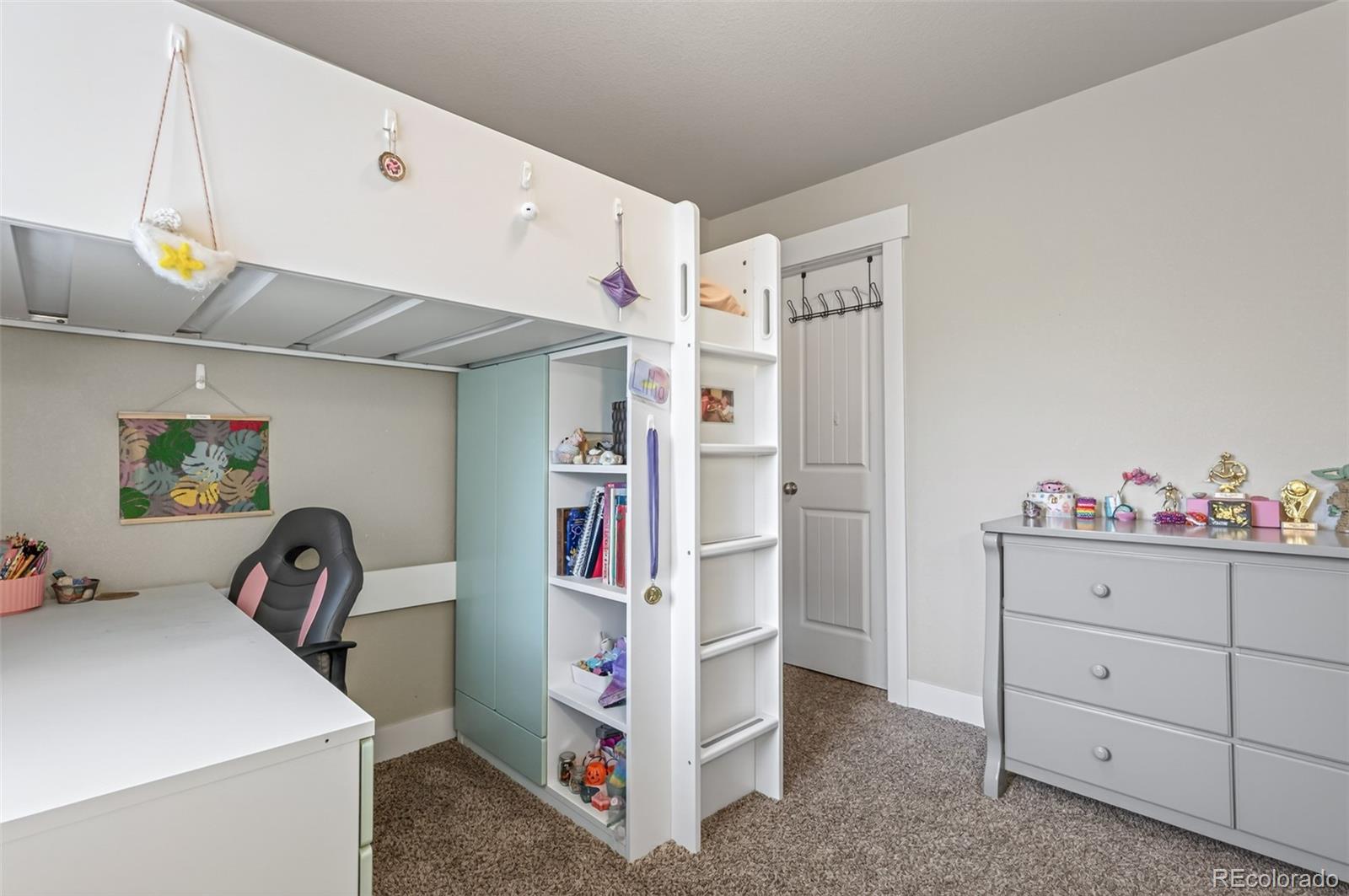 884 Cliffrose Way Severance CO 80550