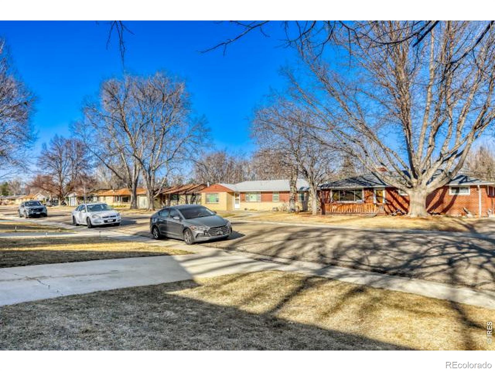 1103 Grant Street Longmont CO 80501