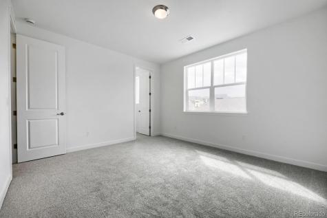 4025 Buttongrass Trail Castle Rock CO 80108