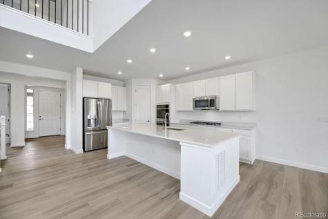 4025 Buttongrass Trail Castle Rock CO 80108