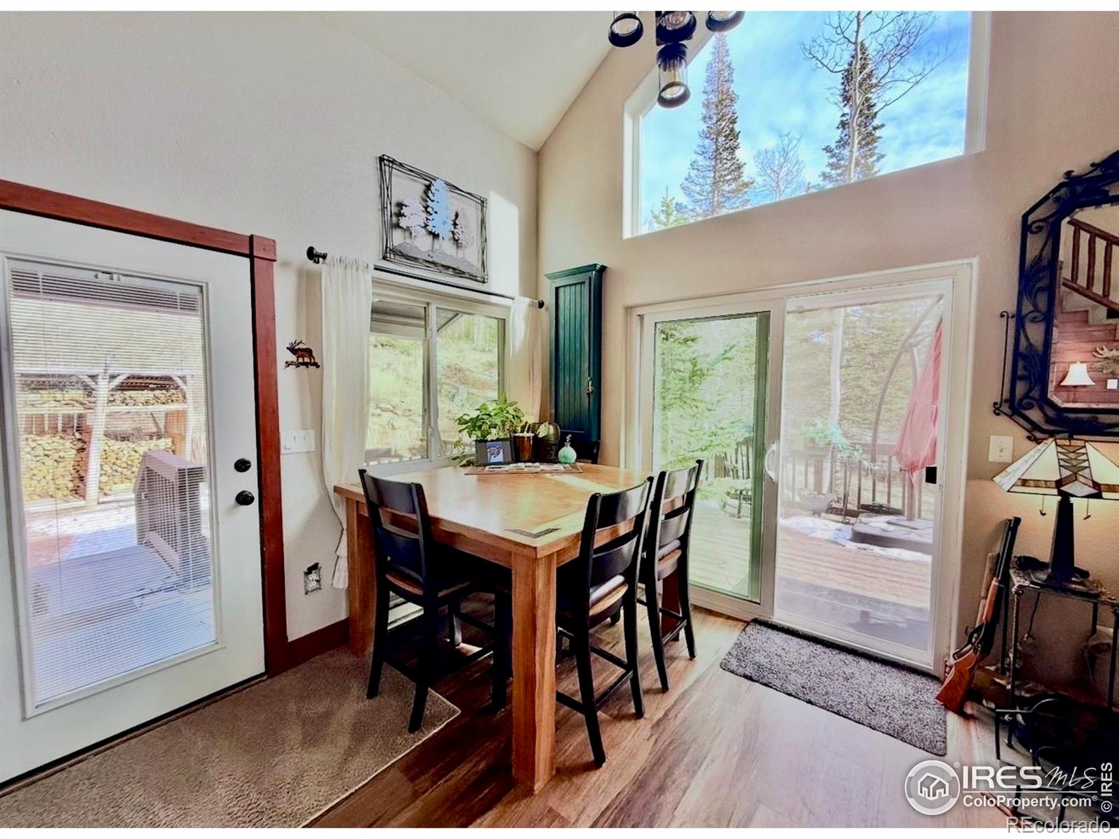 3689 Ottawa Way Red Feather Lakes CO 80545
