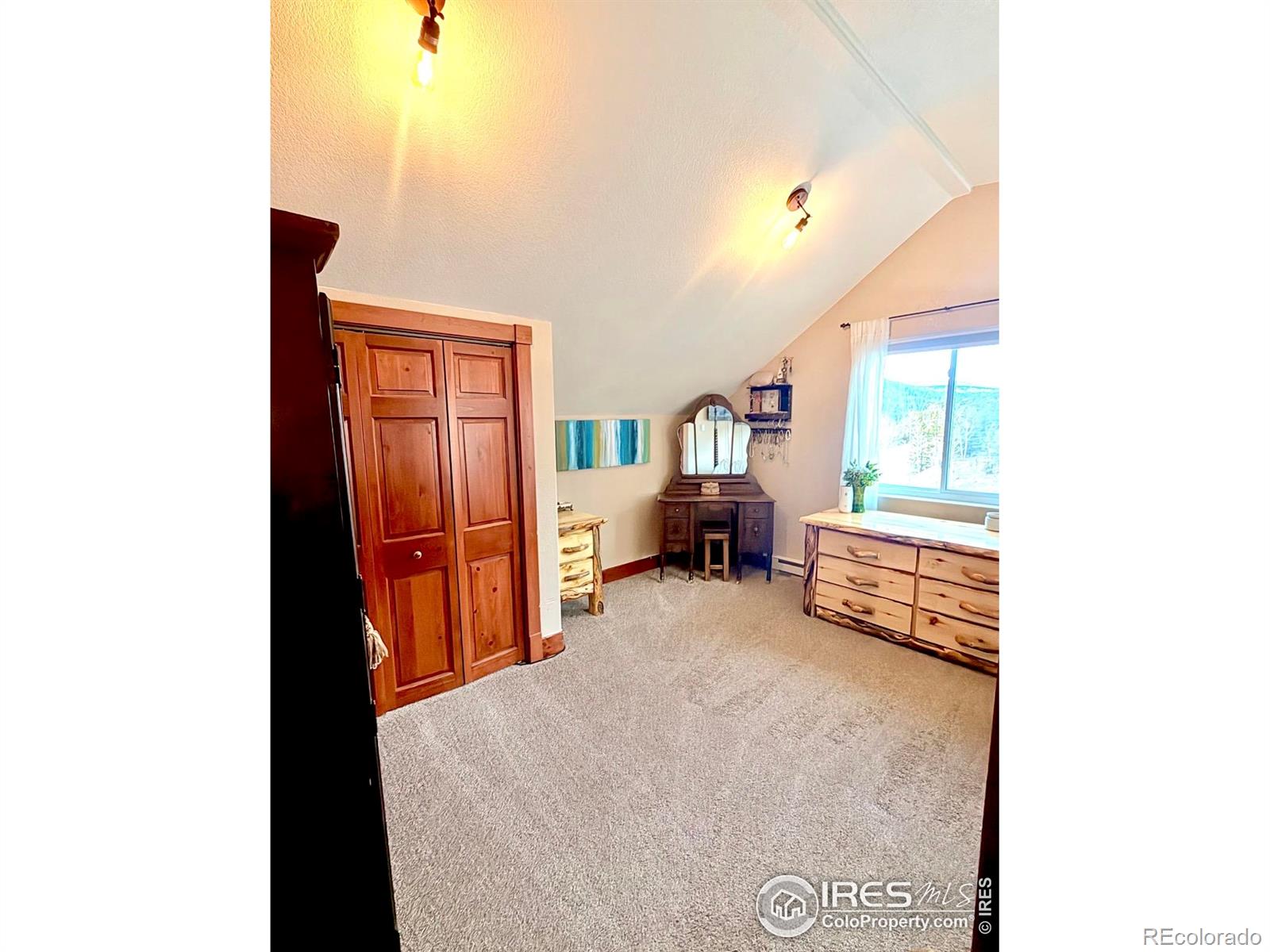 3689 Ottawa Way Red Feather Lakes CO 80545