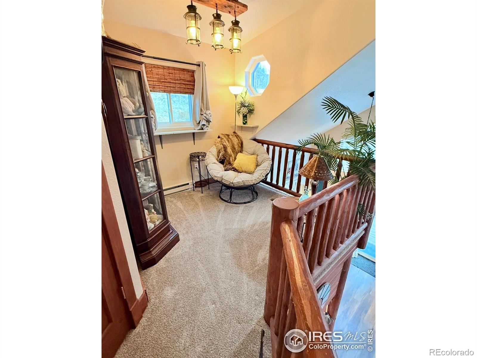 3689 Ottawa Way Red Feather Lakes CO 80545