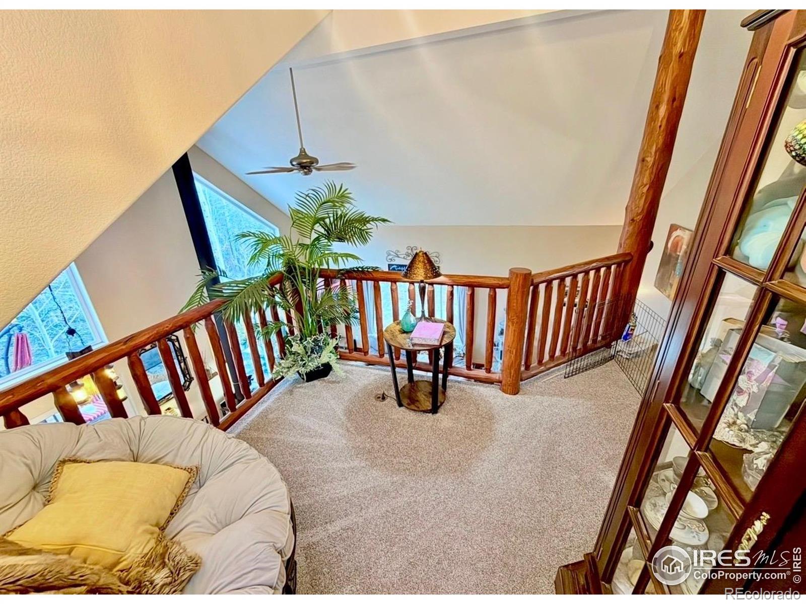 3689 Ottawa Way Red Feather Lakes CO 80545