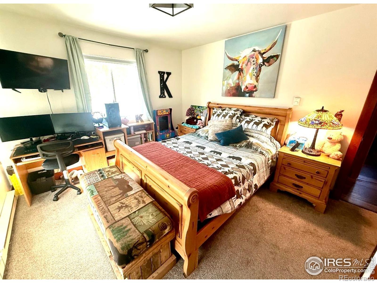 3689 Ottawa Way Red Feather Lakes CO 80545
