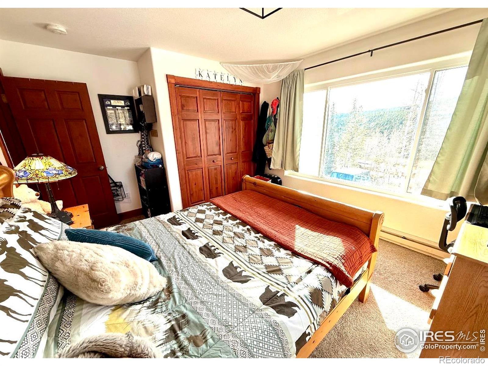 3689 Ottawa Way Red Feather Lakes CO 80545