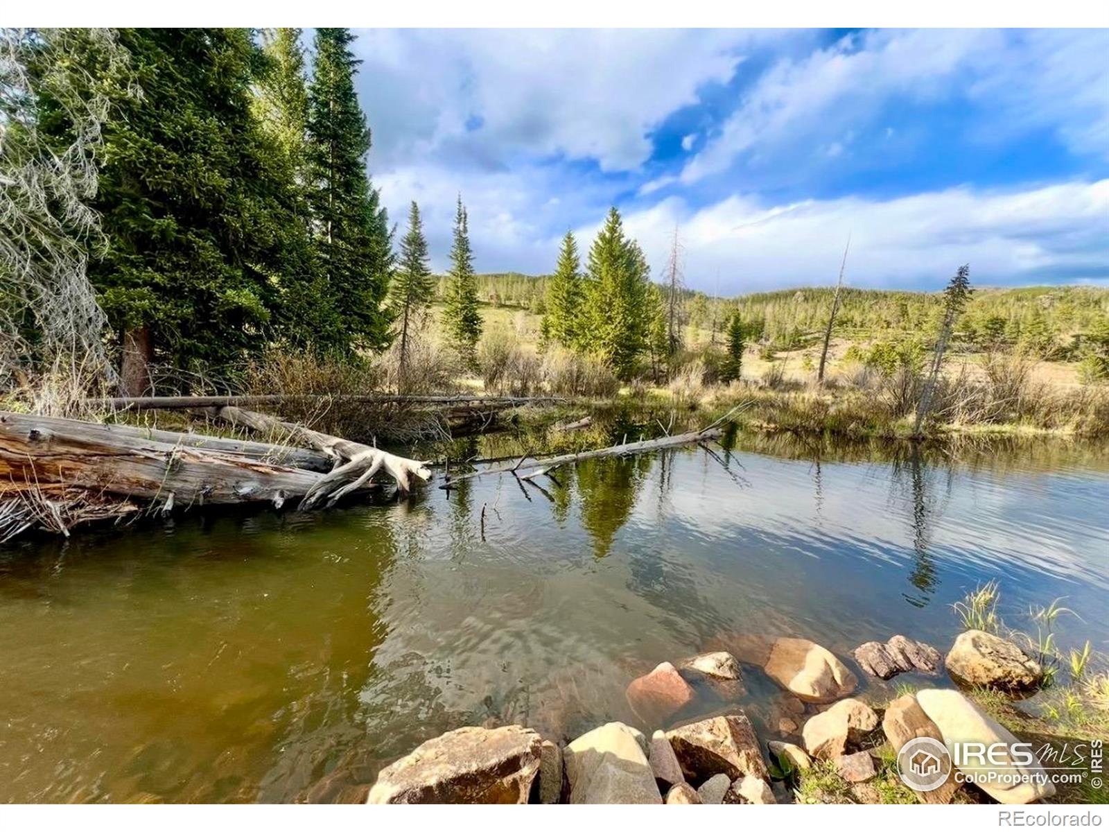 3689 Ottawa Way Red Feather Lakes CO 80545