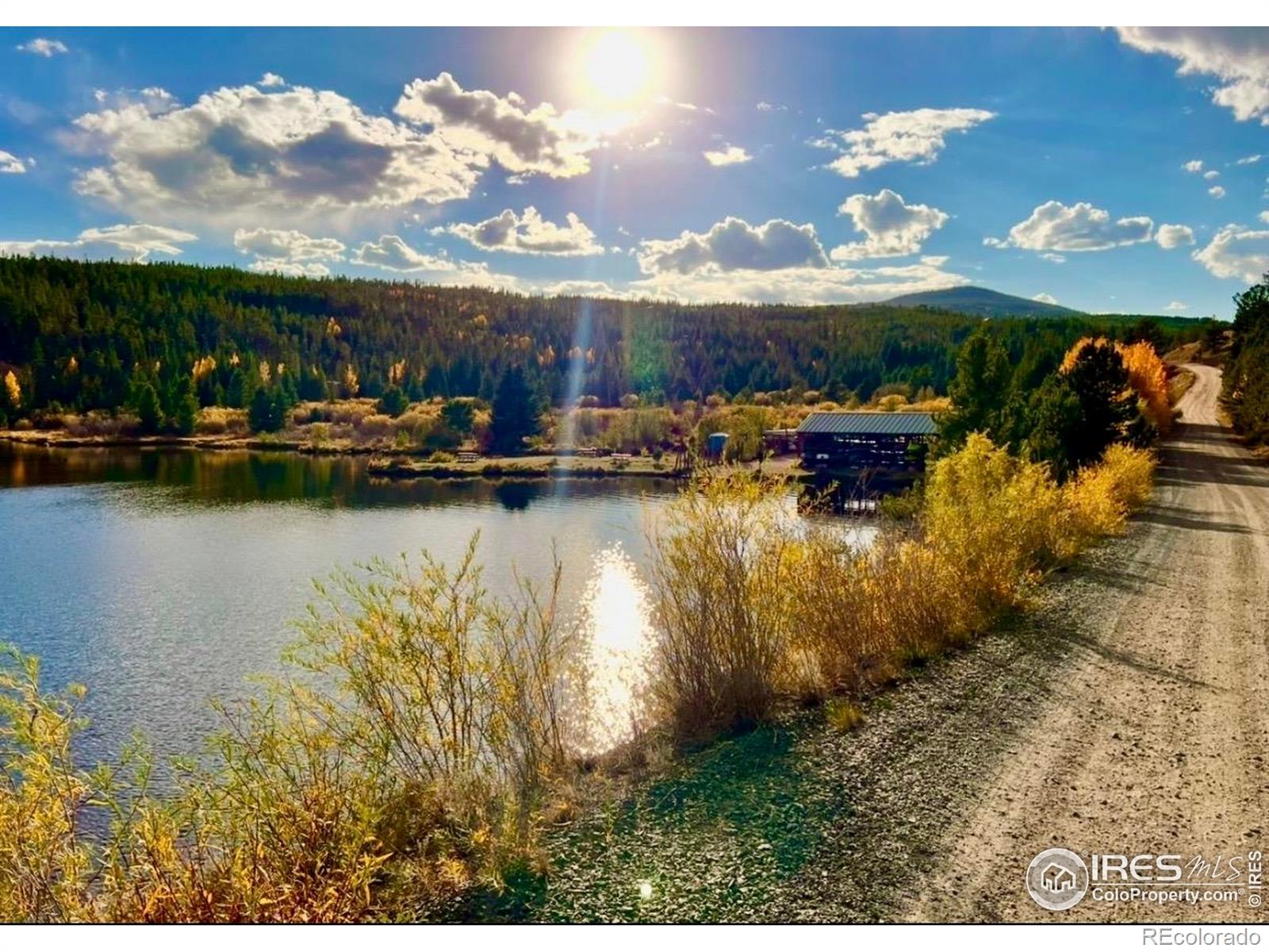 3689 Ottawa Way Red Feather Lakes CO 80545
