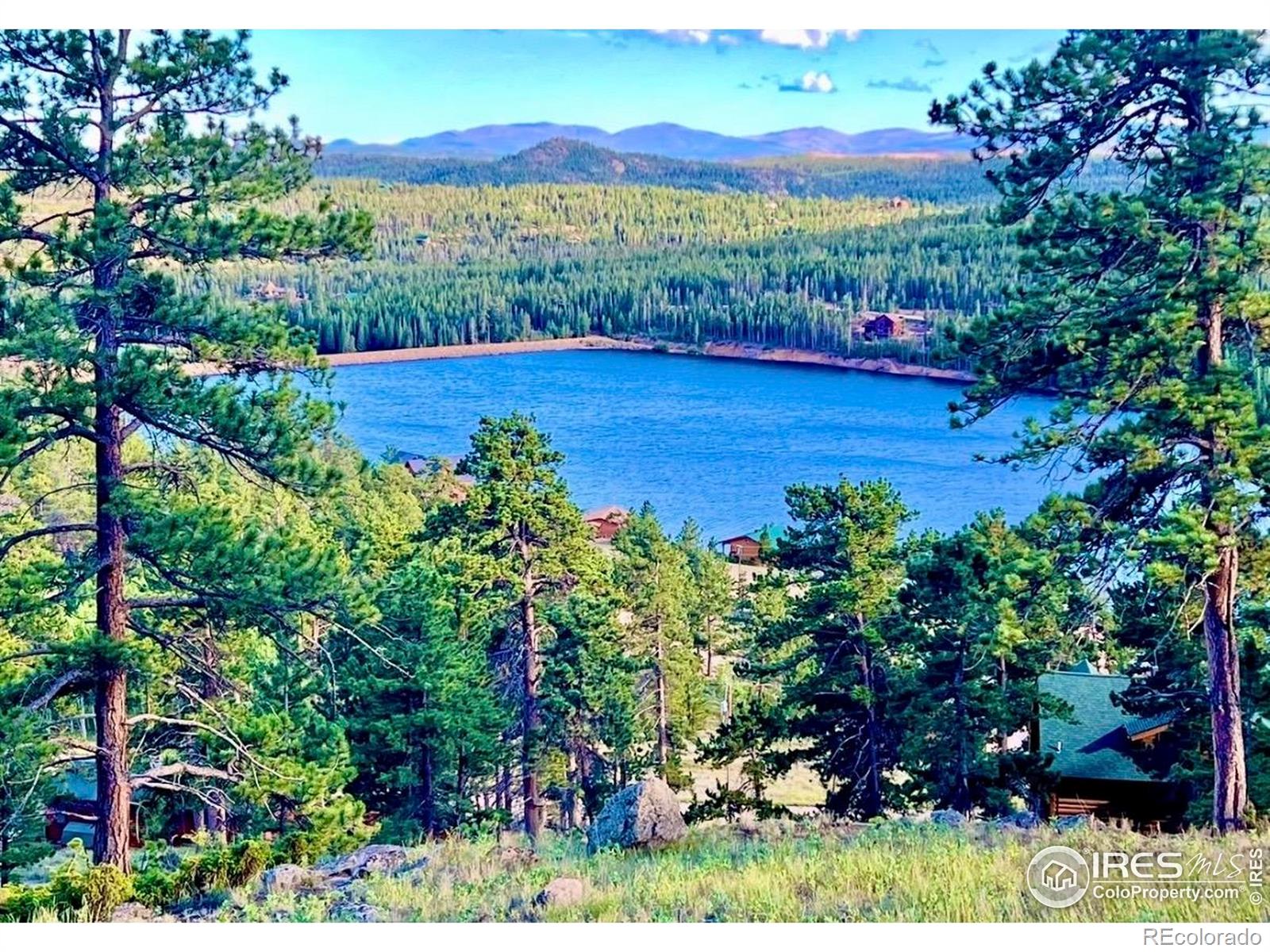 3689 Ottawa Way Red Feather Lakes CO 80545