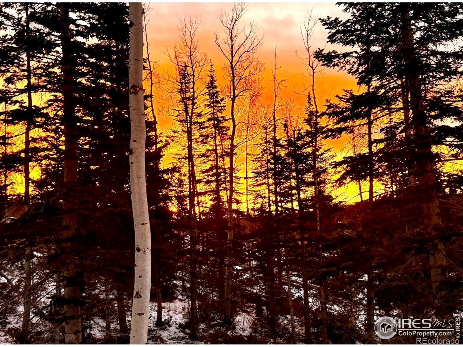 3689 Ottawa Way Red Feather Lakes CO 80545