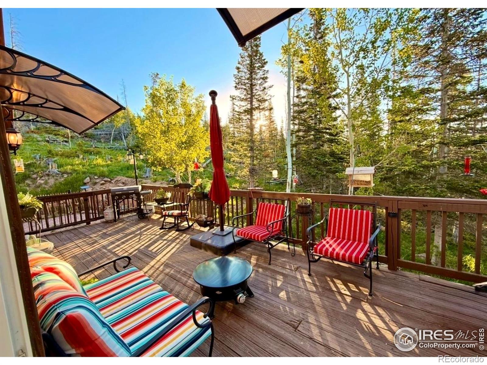 3689 Ottawa Way Red Feather Lakes CO 80545
