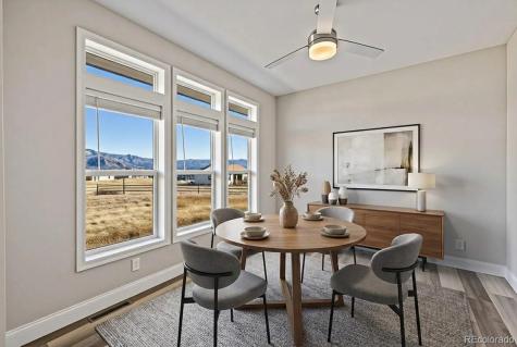 30855 Trent Drive Buena Vista CO 81211