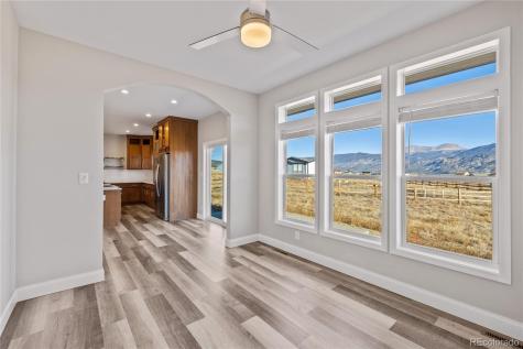 30855 Trent Drive Buena Vista CO 81211